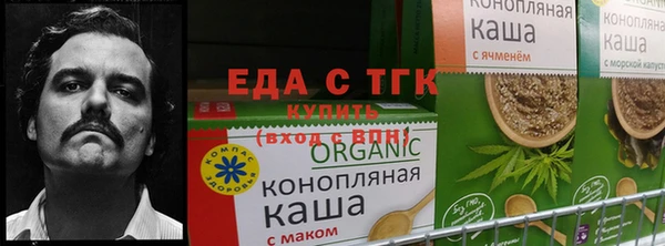 кокс Аркадак