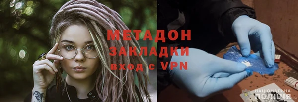 индика Арсеньев
