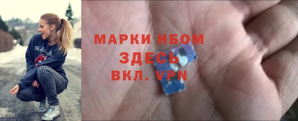 индика Арсеньев