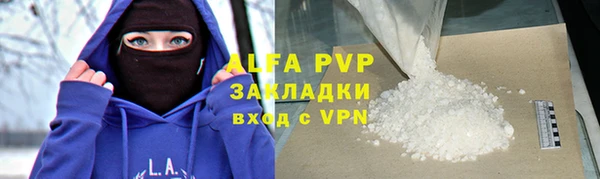 индика Арсеньев