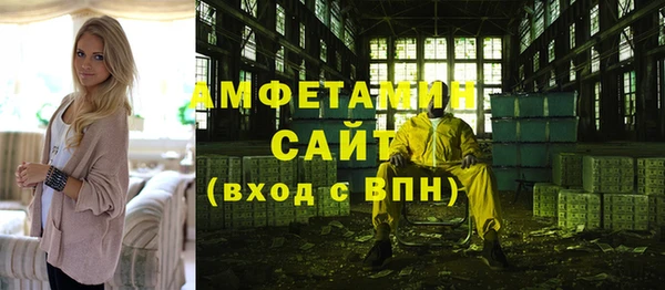 индика Арсеньев