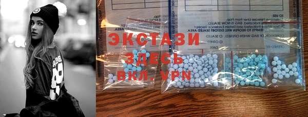 индика Арсеньев