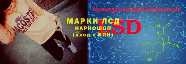 индика Арсеньев