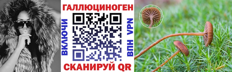 закладка  Пущино  kraken ССЫЛКА  Галлюциногенные грибы Magic Shrooms 