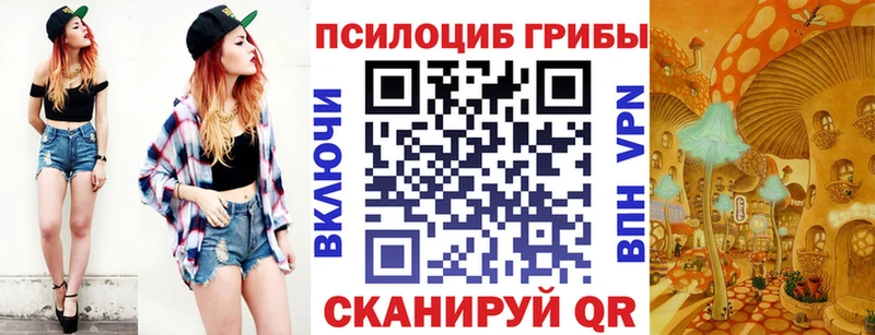 Псилоцибиновые грибы мухоморы Пущино